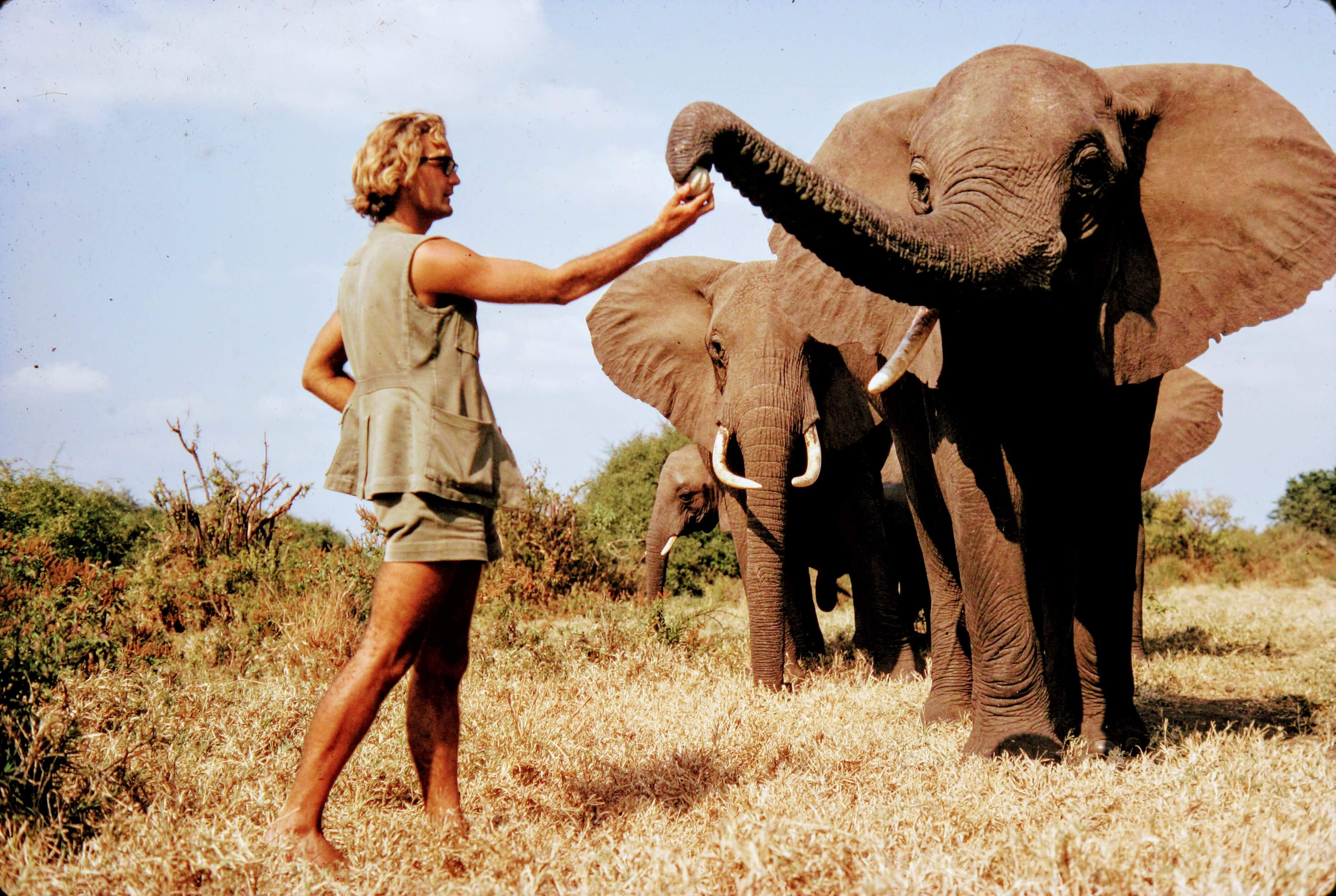Iain Douglas-Hamilton (1942–2025): Der Pionier des modernen Elefantenschutzes